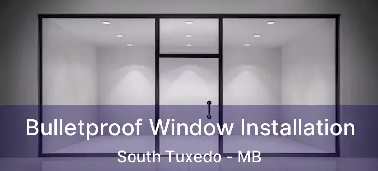  Bulletproof Window Installation South Tuxedo - MB