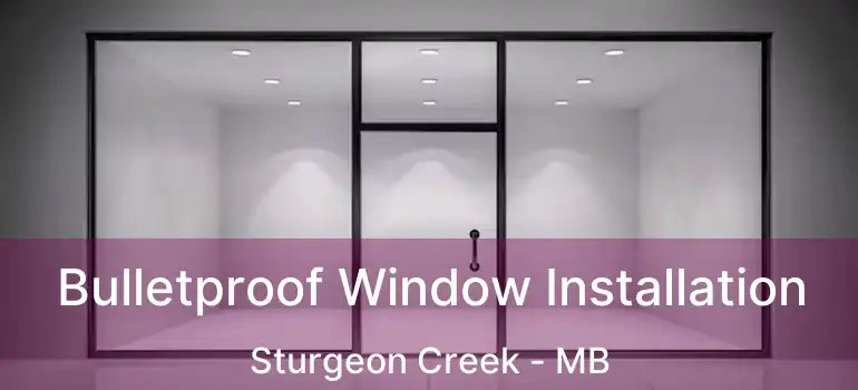  Bulletproof Window Installation Sturgeon Creek - MB