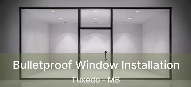  Bulletproof Window Installation Tuxedo - MB