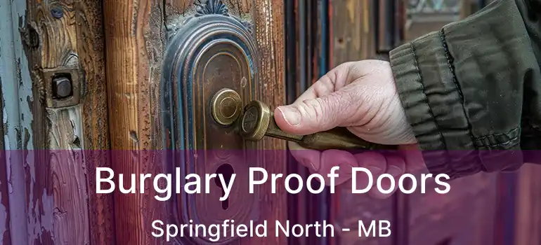  Burglary Proof Doors Springfield North - MB