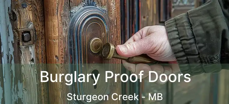  Burglary Proof Doors Sturgeon Creek - MB