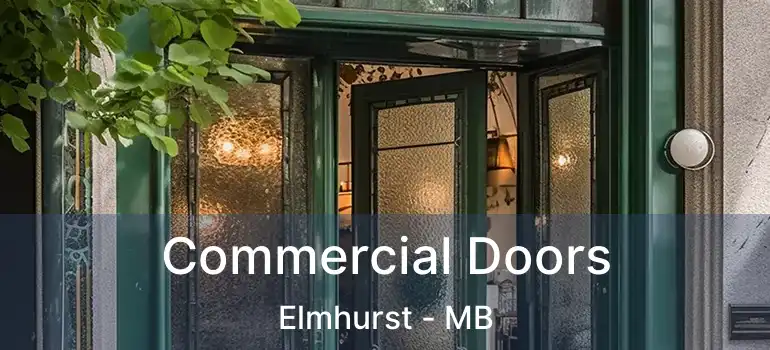 Commercial Doors Elmhurst - MB