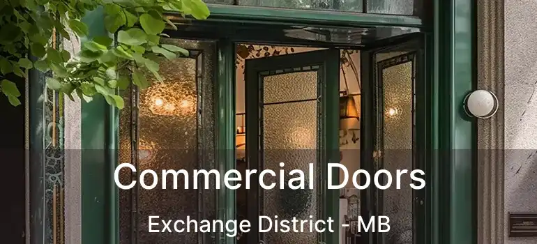  Commercial Doors Exchange District - MB