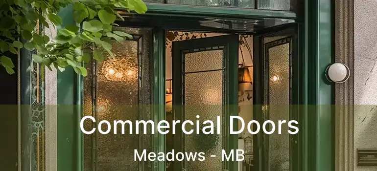  Commercial Doors Meadows - MB