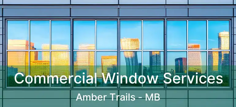  Commercial Window Services Amber Trails - MB