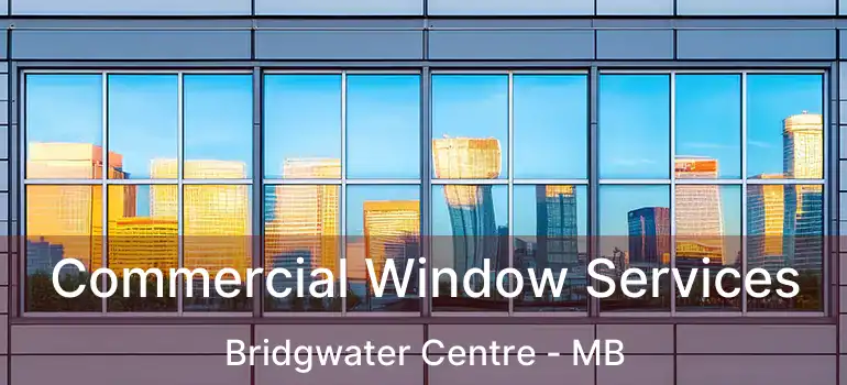  Commercial Window Services Bridgwater Centre - MB