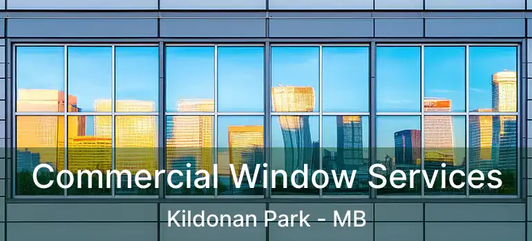  Commercial Window Services Kildonan Park - MB