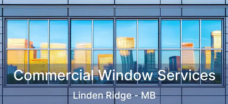  Commercial Window Services Linden Ridge - MB