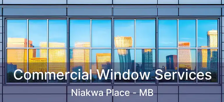  Commercial Window Services Niakwa Place - MB
