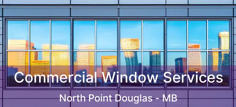  Commercial Window Services North Point Douglas - MB