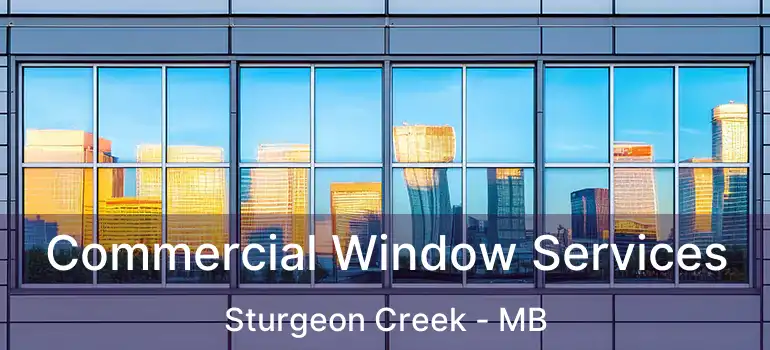  Commercial Window Services Sturgeon Creek - MB