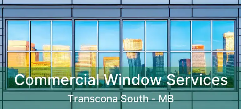  Commercial Window Services Transcona South - MB
