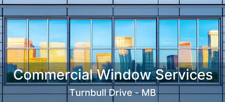  Commercial Window Services Turnbull Drive - MB
