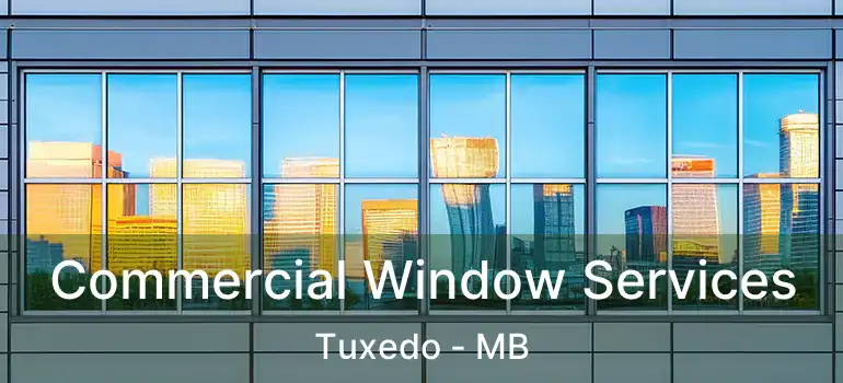  Commercial Window Services Tuxedo - MB