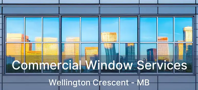  Commercial Window Services Wellington Crescent - MB