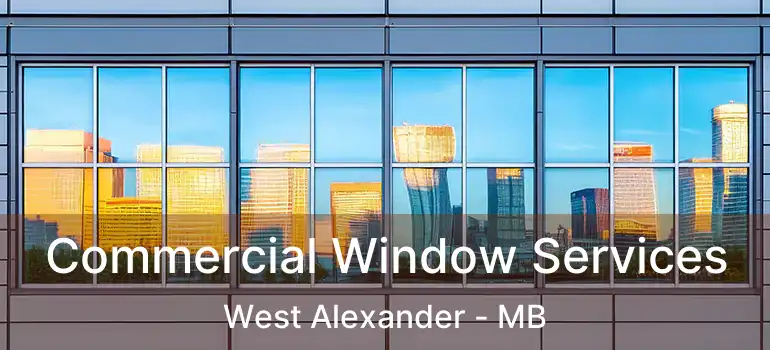  Commercial Window Services West Alexander - MB