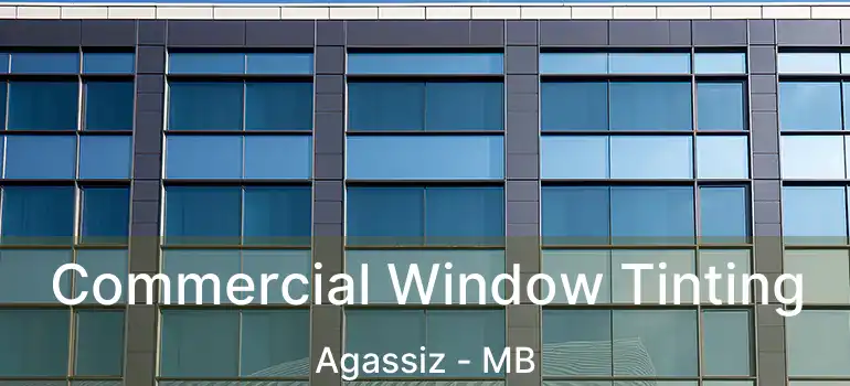  Commercial Window Tinting Agassiz - MB