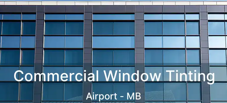  Commercial Window Tinting Airport - MB