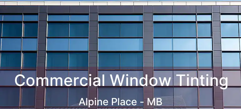  Commercial Window Tinting Alpine Place - MB