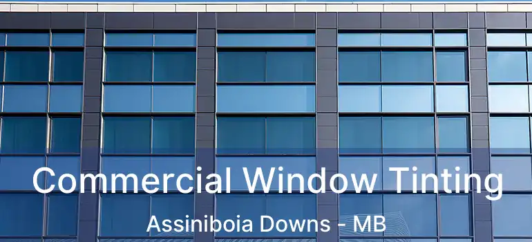  Commercial Window Tinting Assiniboia Downs - MB