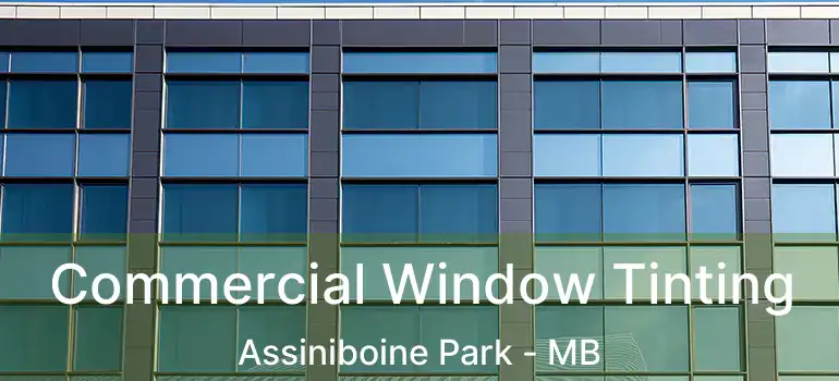  Commercial Window Tinting Assiniboine Park - MB