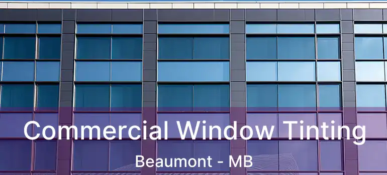  Commercial Window Tinting Beaumont - MB