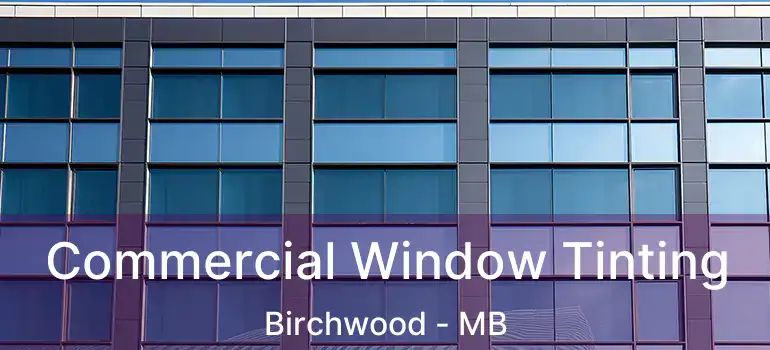 Commercial Window Tinting Birchwood - MB