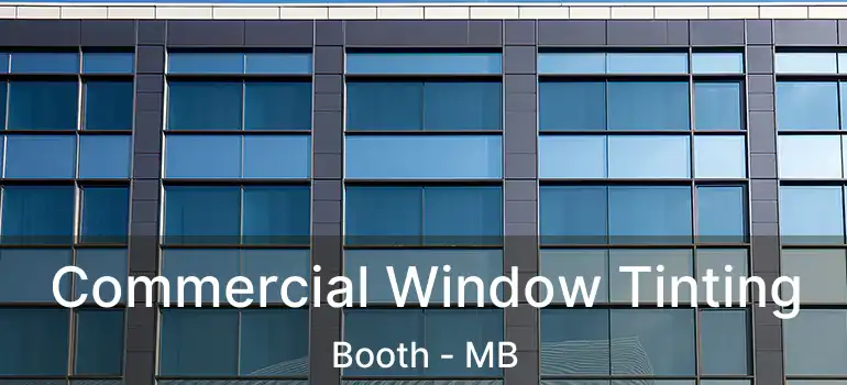  Commercial Window Tinting Booth - MB