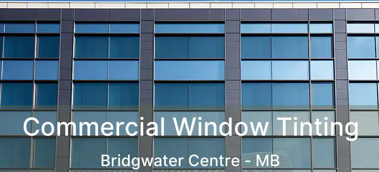  Commercial Window Tinting Bridgwater Centre - MB