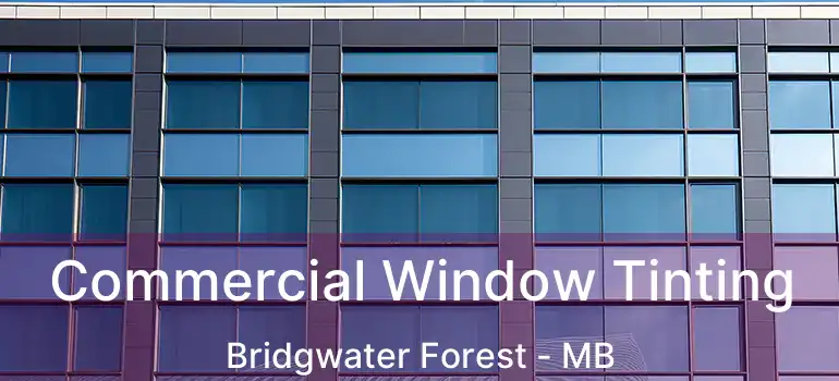  Commercial Window Tinting Bridgwater Forest - MB