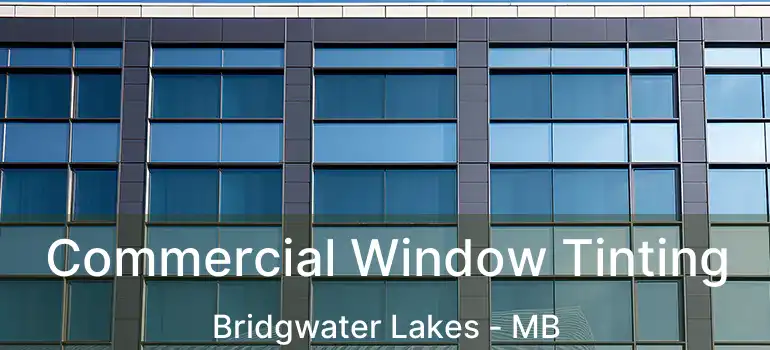  Commercial Window Tinting Bridgwater Lakes - MB