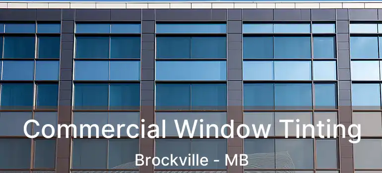  Commercial Window Tinting Brockville - MB