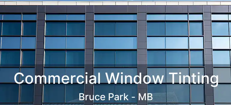  Commercial Window Tinting Bruce Park - MB