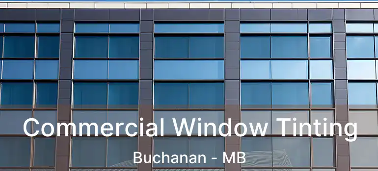  Commercial Window Tinting Buchanan - MB