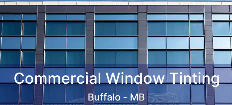  Commercial Window Tinting Buffalo - MB