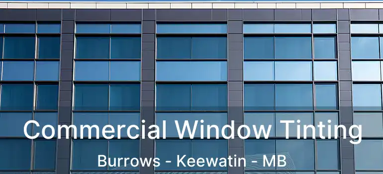  Commercial Window Tinting Burrows - Keewatin - MB