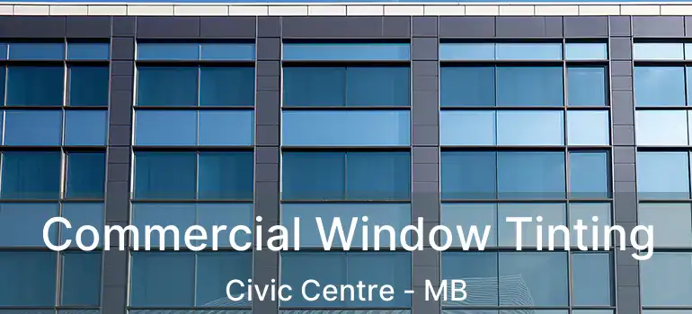  Commercial Window Tinting Civic Centre - MB