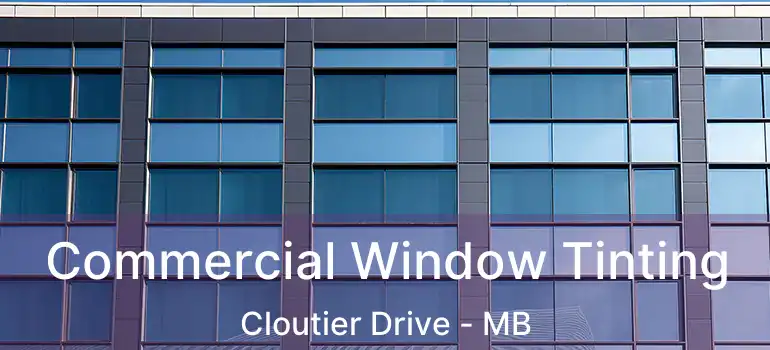  Commercial Window Tinting Cloutier Drive - MB