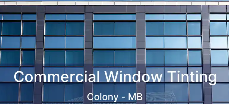  Commercial Window Tinting Colony - MB