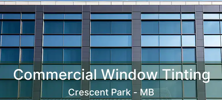  Commercial Window Tinting Crescent Park - MB