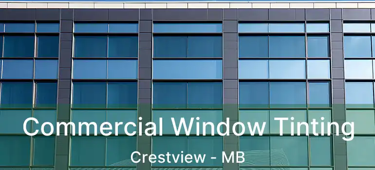  Commercial Window Tinting Crestview - MB