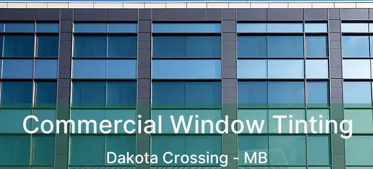  Commercial Window Tinting Dakota Crossing - MB