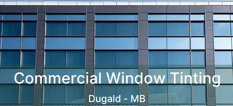  Commercial Window Tinting Dugald - MB
