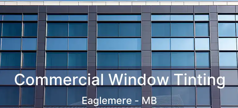  Commercial Window Tinting Eaglemere - MB