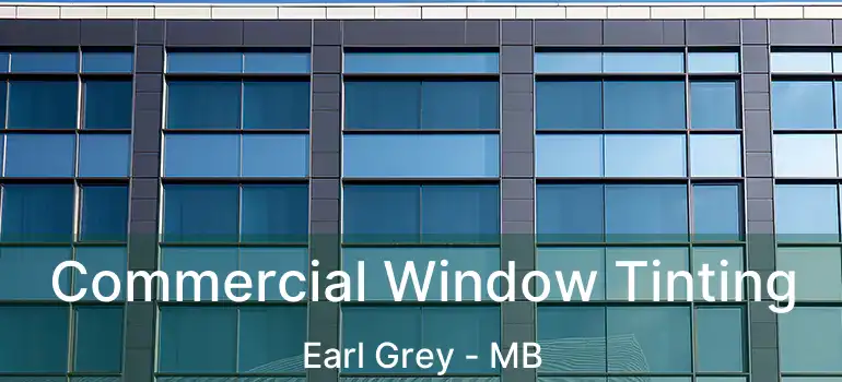  Commercial Window Tinting Earl Grey - MB