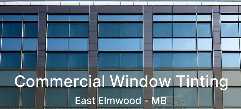  Commercial Window Tinting East Elmwood - MB