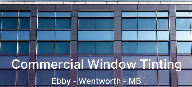  Commercial Window Tinting Ebby - Wentworth - MB