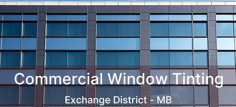  Commercial Window Tinting Exchange District - MB