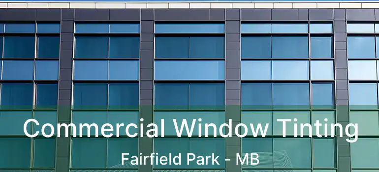  Commercial Window Tinting Fairfield Park - MB