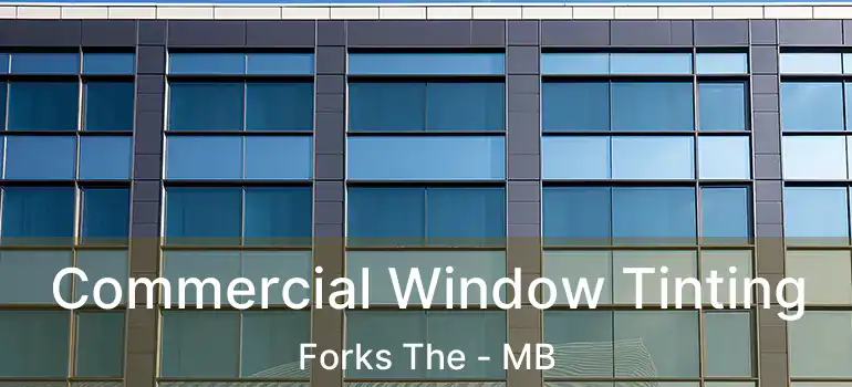  Commercial Window Tinting Forks The - MB